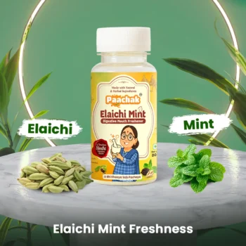 Paachak Classic Mint Digestive Mix (Pack Of 3)